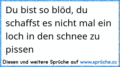 Du bist so blöd, du schaffst es nicht mal ein loch in den schnee zu pissen