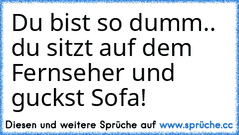 Du bist so dumm.. du sitzt auf dem Fernseher und guckst Sofa!