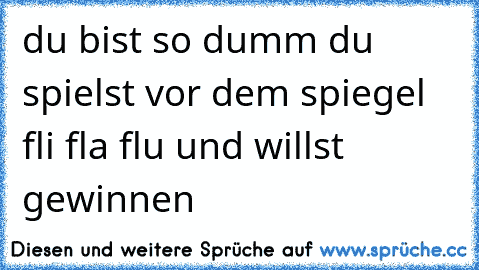 du bist so dumm du spielst vor dem spiegel fli fla flu und willst gewinnen