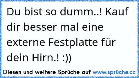 Du bist so dumm..! Kauf dir besser mal eine externe Festplatte für dein Hirn.! :))