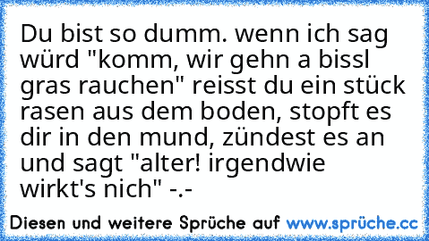 Du bist so dumm. wenn ich sag würd "komm, wir gehn a bissl gras rauchen" reisst du ein stück rasen aus dem boden, stopft es dir in den mund, zündest es an und sagt "alter! irgendwie wirkt's nich" -.-