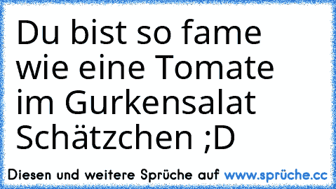 Du bist so fame wie eine Tomate im Gurkensalat Schätzchen ;D