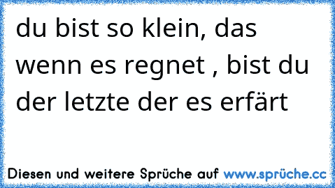 du bist so klein, das wenn es regnet , bist du der letzte der es erfärt