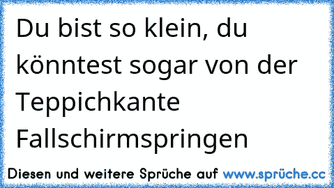 Du bist so klein, du könntest sogar von der Teppichkante Fallschirmspringen