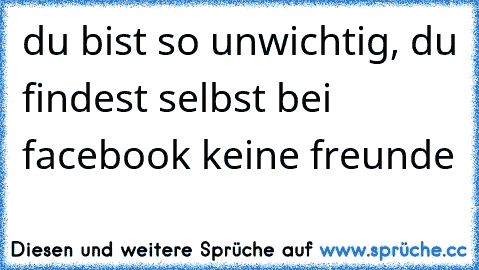 du bist so unwichtig, du findest selbst bei facebook keine freunde