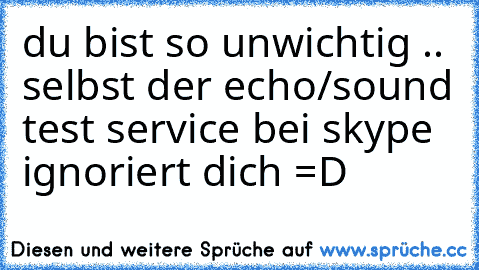 du bist so unwichtig .. selbst der echo/sound test service bei skype ignoriert dich =D