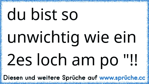 du bist so unwichtig wie ein 2es loch am po "!!