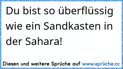 Du bist so überflüssig wie ein Sandkasten in der Sahara!