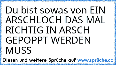 Du bist sowas von EIN ARSCHLOCH DAS MAL RICHTIG IN ARSCH GEPOPPT WERDEN MUSS