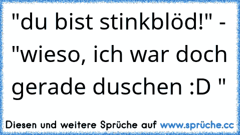 "du bist stinkblöd!" - "wieso, ich war doch gerade duschen :D "