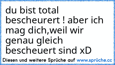 du bist total bescheurert ! aber ich mag dich,weil wir genau gleich bescheuert sind xD♥