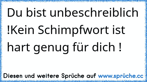 Du bist unbeschreiblich !
Kein Schimpfwort ist hart genug für dich !