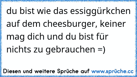 du bist wie das essiggürkchen auf dem cheesburger, keiner mag dich und du bist für nichts zu gebrauchen =)