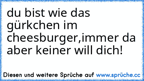 du bist wie das gürkchen im cheesburger,immer da aber keiner will dich!