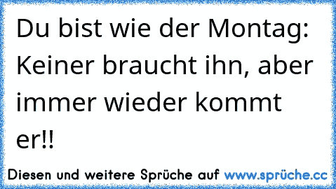 Du bist wie der Montag: Keiner braucht ihn, aber immer wieder kommt er!!