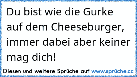 Du bist wie die Gurke auf dem Cheeseburger, immer dabei aber keiner mag dich!