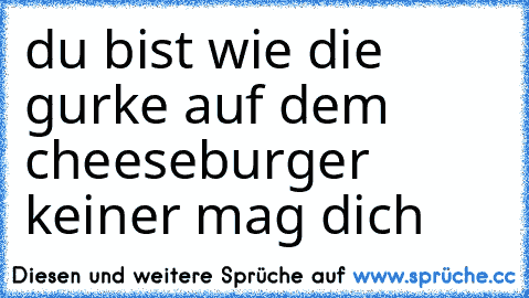 du bist wie die gurke auf dem cheeseburger keiner mag dich