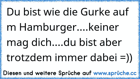 Du bist wie die Gurke auf m Hamburger....keiner mag dich....du bist aber trotzdem immer dabei =))