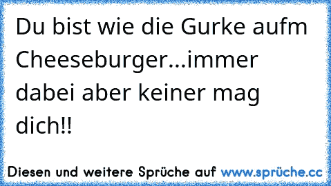 Du bist wie die Gurke aufm Cheeseburger...immer dabei aber keiner mag dich!!