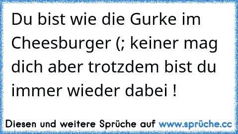 Du bist wie die Gurke im Cheesburger (; keiner mag dich aber trotzdem bist du immer wieder dabei !