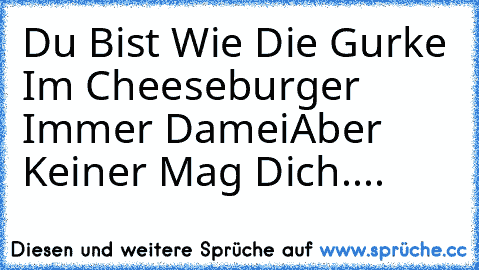 Du Bist Wie Die Gurke Im Cheeseburger Immer Damei
Aber Keiner Mag Dich....