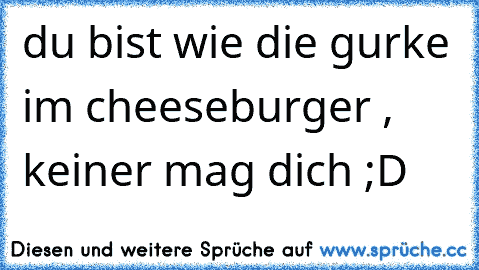 du bist wie die gurke im cheeseburger , keiner mag dich ;D