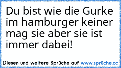 Du bist wie die Gurke im hamburger keiner mag sie aber sie ist immer dabei!