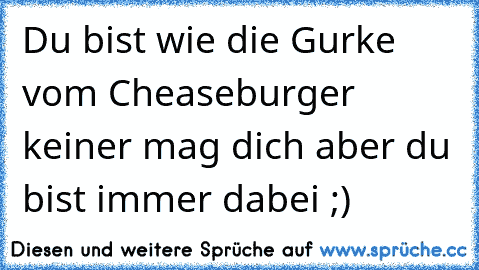 Du bist wie die Gurke vom Cheaseburger keiner mag dich aber du bist immer dabei ;)