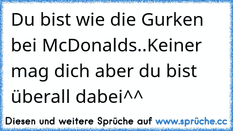 Du bist wie die Gurken bei McDonalds..
Keiner mag dich aber du bist überall dabei^^