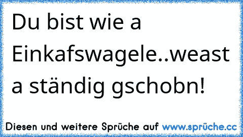 Du bist wie a Einkafswagele..weast a ständig gschobn!