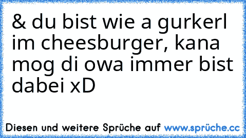 & du bist wie a gurkerl im cheesburger, kana mog di owa immer bist dabei xD