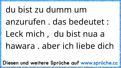 du bist zu dumm um anzurufen . das bedeutet : Leck mich ,  du bist nua a hawara . aber ich liebe dich ♥♥