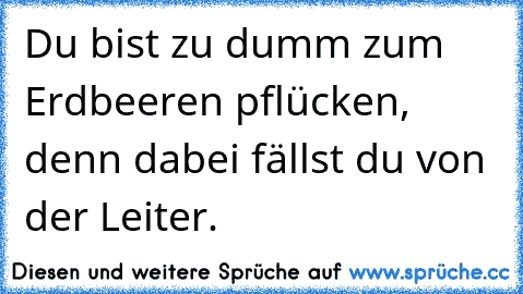 Du bist zu dumm zum Erdbeeren pflücken, denn dabei fällst du von der Leiter.