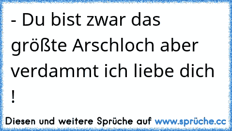 - Du bist zwar das größte Arschloch aber verdammt ich liebe dich ! ♥