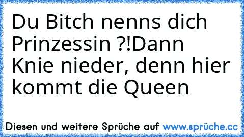 Du Bitch nenns dich Prinzessin ?!
Dann Knie nieder, denn hier kommt die
 Queen