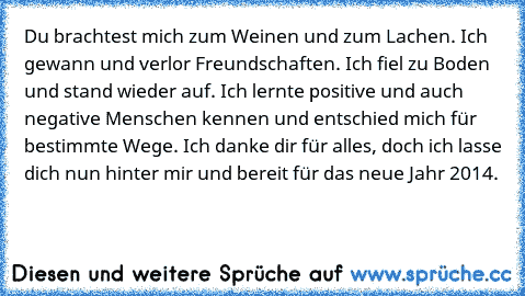 Du brachtest mich zum Weinen und zum Lachen. Ich gewann und verlor Freundschaften. Ich fiel zu Boden und stand wieder auf. Ich lernte positive und auch negative Menschen kennen und entschied mich für bestimmte Wege. Ich danke dir für alles, doch ich lasse dich nun hinter mir und bereit für das neue Jahr 2014.