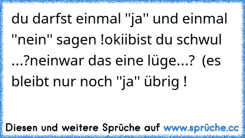 du darfst einmal ''ja'' und einmal ''nein'' sagen !
okii
bist du schwul ...?
nein
war das eine lüge...?  (es bleibt nur noch ''ja'' übrig !