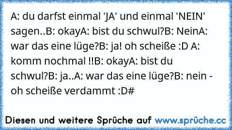 A: du darfst einmal 'JA' und einmal 'NEIN' sagen..
B: okay
A: bist du schwul?
B: Nein
A: war das eine lüge?
B: ja! oh scheiße :D 
A: komm nochmal !!
B: okay
A: bist du schwul?
B: ja..
A: war das eine lüge?
B: nein - oh scheiße verdammt :D
#