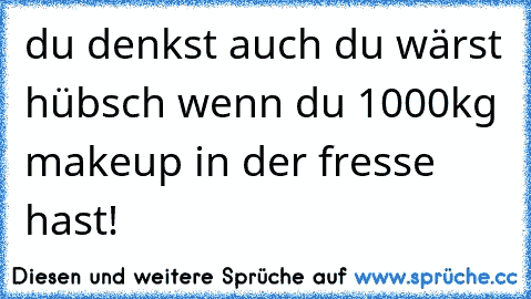 du denkst auch du wärst hübsch wenn du 1000kg makeup in der fresse hast!