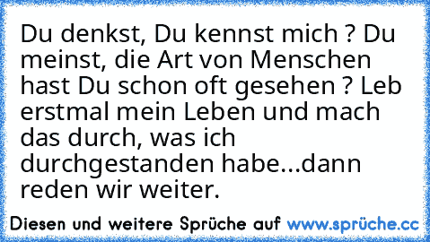 Du denkst, Du kennst mich ? Du meinst, die Art von Menschen hast Du schon oft gesehen ? Leb erstmal mein Leben und mach das durch, was ich durchgestanden habe...dann reden wir weiter.