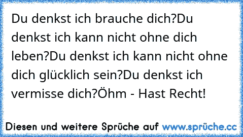 Du denkst ich brauche dich?
Du denkst ich kann nicht ohne dich leben?
Du denkst ich kann nicht ohne dich glücklich sein?
Du denkst ich vermisse dich?
Öhm - Hast Recht!