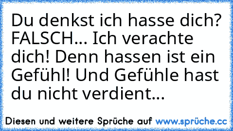 Du denkst ich hasse dich? FALSCH... Ich verachte dich! Denn hassen ist ein Gefühl! Und Gefühle hast du nicht verdient...