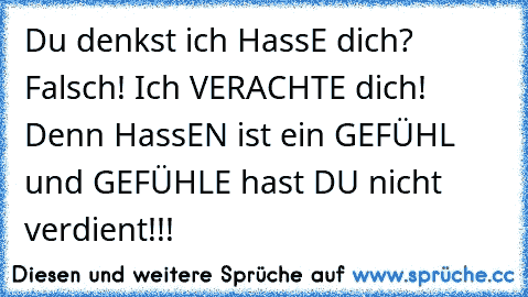 Du denkst ich HassE dich? Falsch! Ich VERACHTE dich! Denn HassEN ist ein GEFÜHL und GEFÜHLE hast DU nicht verdient!!!