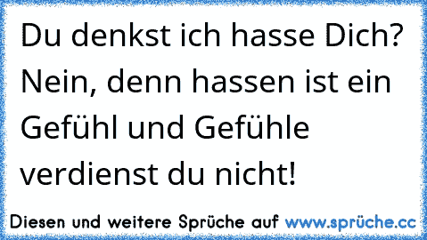 Du denkst ich hasse Dich? Nein, denn hassen ist ein Gefühl und Gefühle verdienst du nicht!