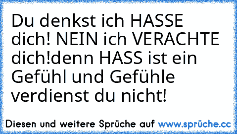 Du denkst ich HASSE dich!
 NEIN ich VERACHTE dich!
denn HASS ist ein Gefühl und Gefühle verdienst du nicht!