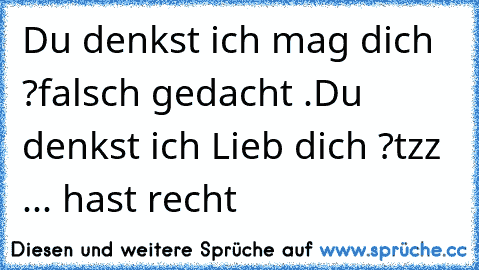 Du denkst ich mag dich ?
falsch gedacht .
Du denkst ich Lieb dich ?
tzz ... hast recht