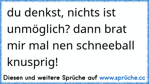 du denkst, nichts ist unmöglich? dann brat mir mal nen schneeball knusprig!