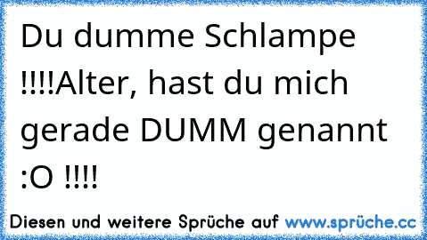 Du dumme Schlampe !!!!
Alter, hast du mich gerade DUMM genannt :O !!!!