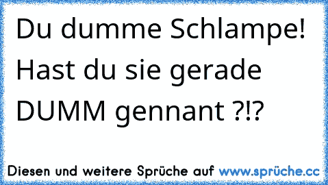 Du dumme Schlampe! Hast du sie gerade DUMM gennant ?!?