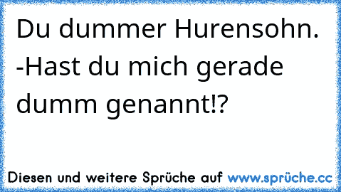 Du dummer Hurensohn. -Hast du mich gerade dumm genannt!?